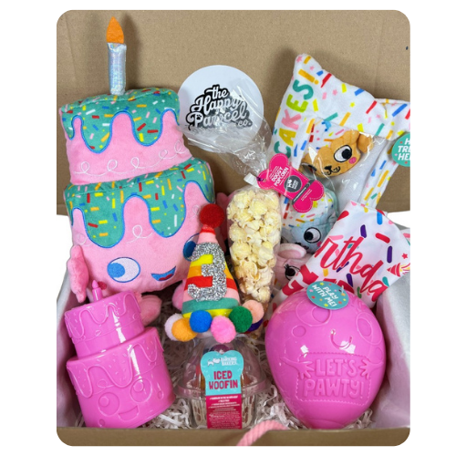 The Mega Birthday Box