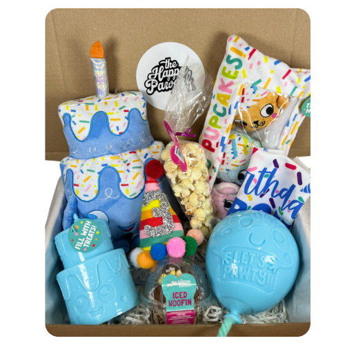 The Mega Birthday Box