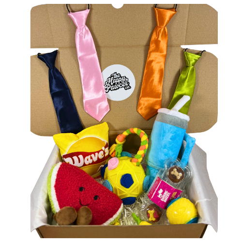 Back To School - Sept Edition