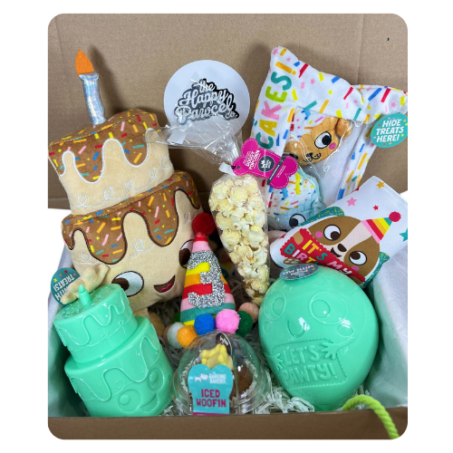 The Mega Birthday Box