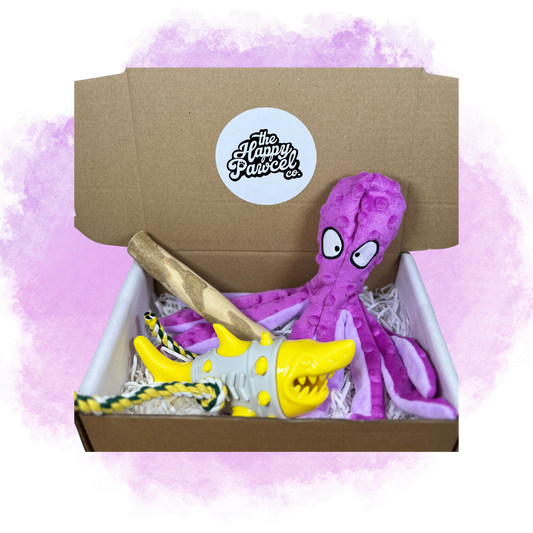 Mini Under the Sea Box