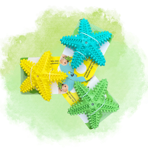 Starfish Chew Toy