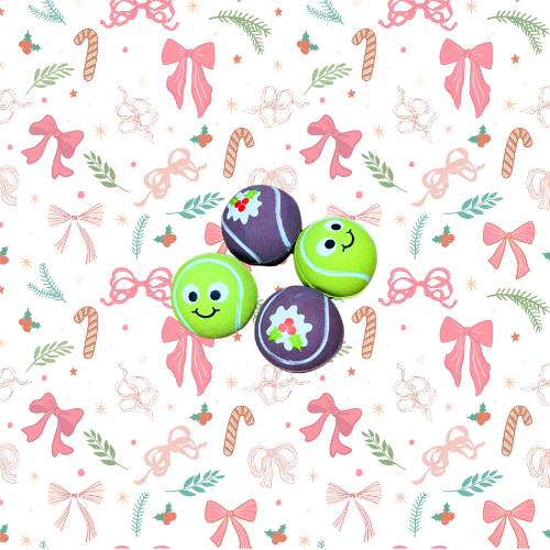 SANTA PAWS CHRISTMAS BOX