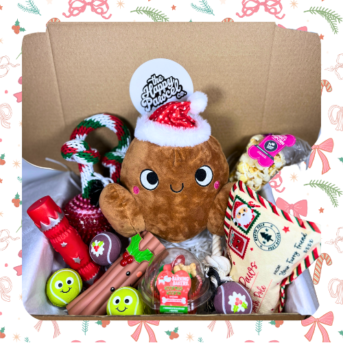 FESTIVE TURKEY CHRISTMAS BOX