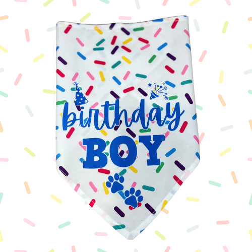 Birthday Boy Bandana 25 Inch