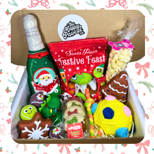 SANTA PAWS CHRISTMAS BOX