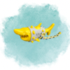 Shark Chew Toy