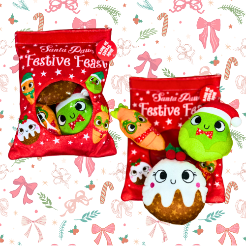 Santa Paws Festive Feast Pouch