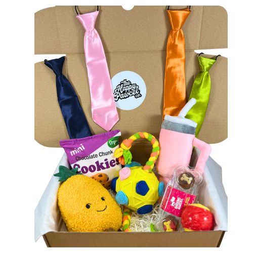 Back To School - Sept Edition