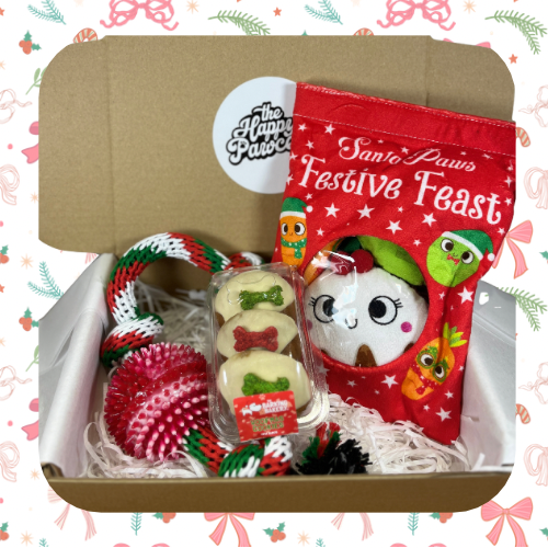 Mini Santa Paws Box
