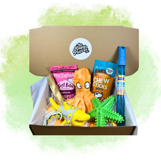 Under the Sea Box - August Edition